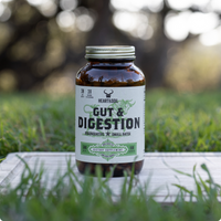 Gut & Digestion